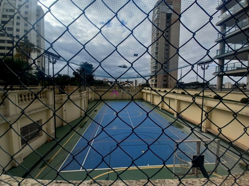 PP456019.jpg