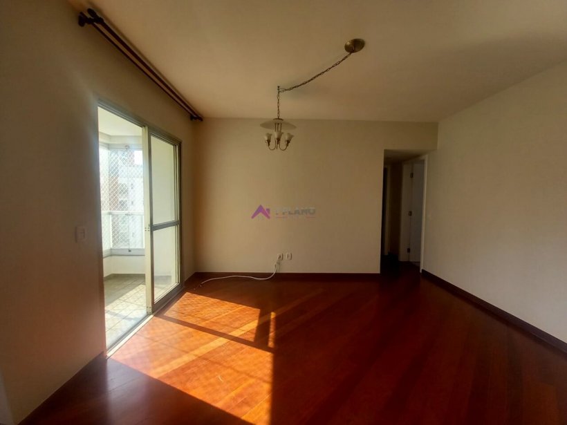 PP454009.jpg