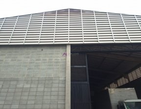 PP1736008.jpg
