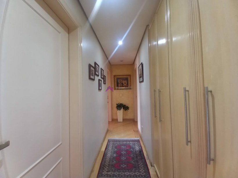 PP553006.jpg