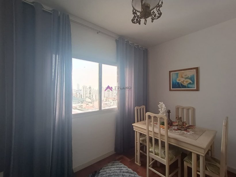 PP1798029.jpg