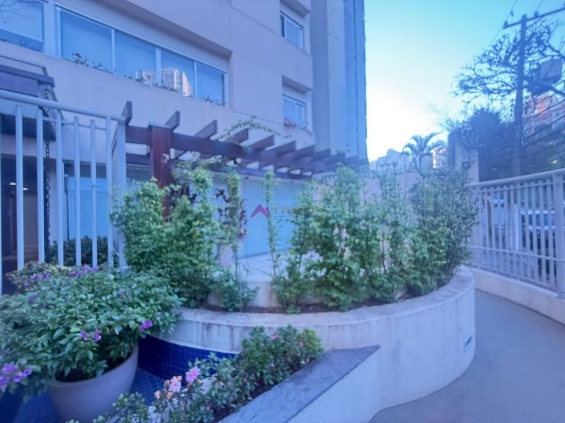 PP1733003.jpg