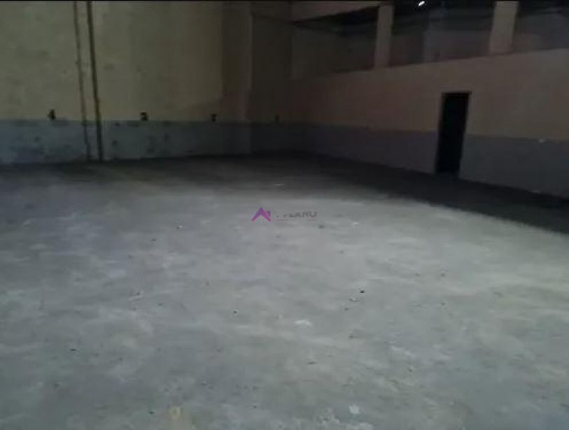 PP1690010.jpg