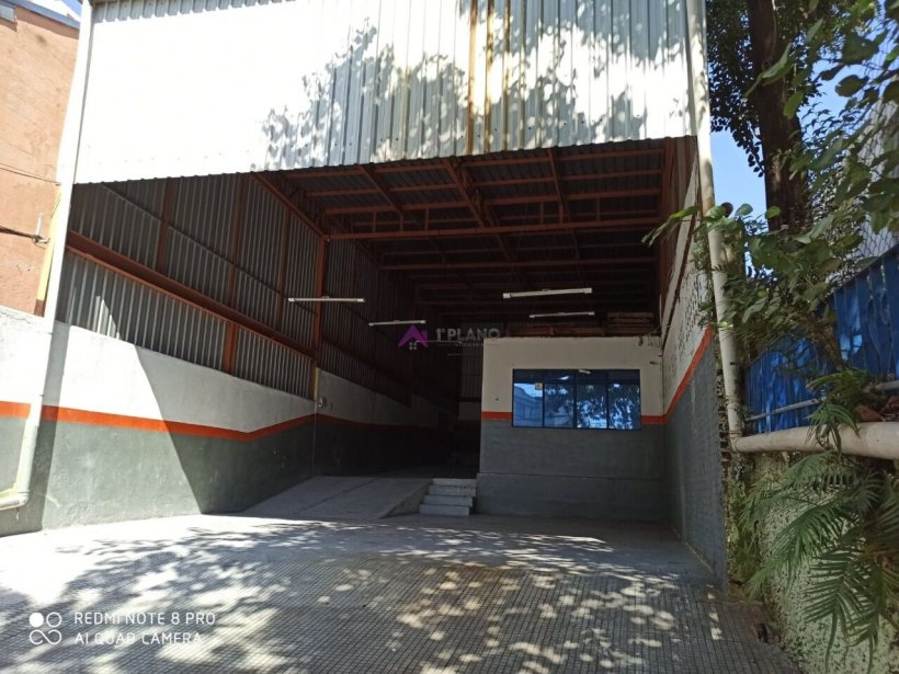 PP1722002.jpg