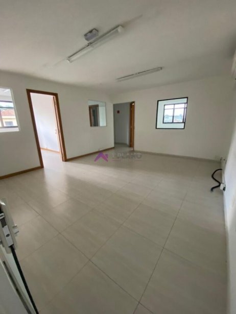 PP1684011.jpg