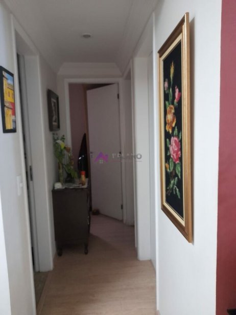 PP1564013.jpg