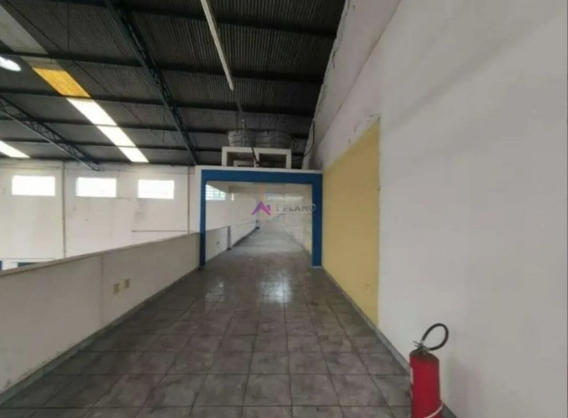 PP1711004.jpg