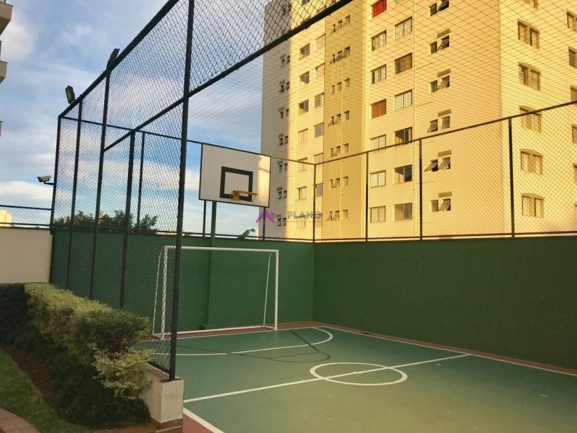 PP1578015.jpg