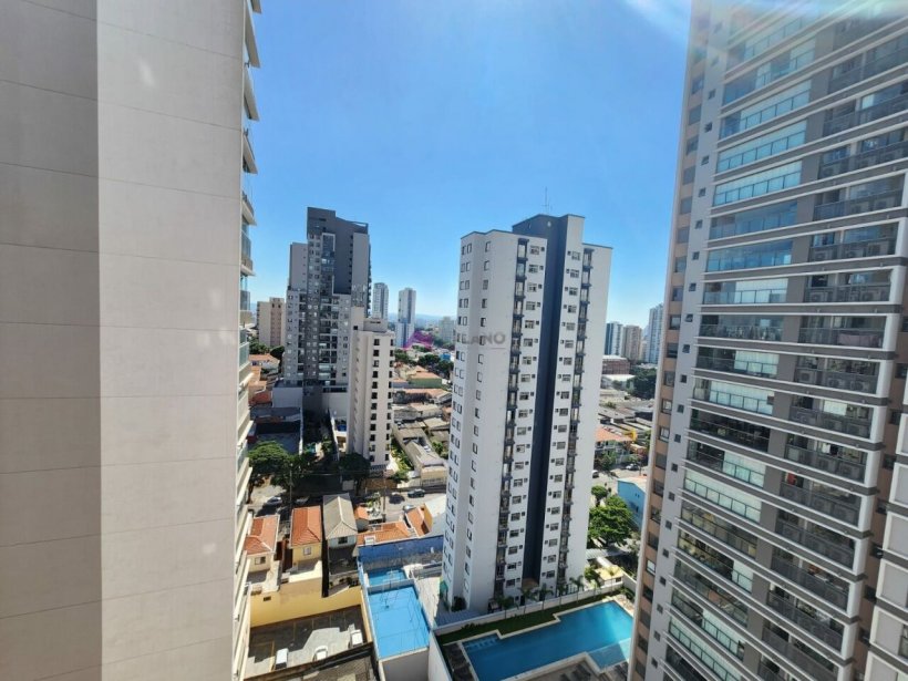 PP806021.jpg