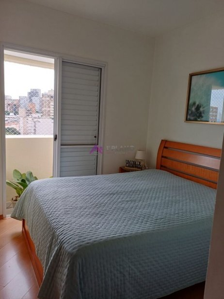 PP1547009.jpg