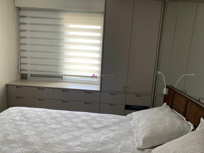 PP1579014.jpg
