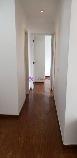 PP1390007.jpg
