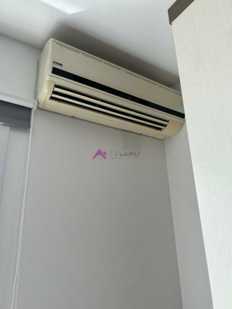 PP1258005.jpg