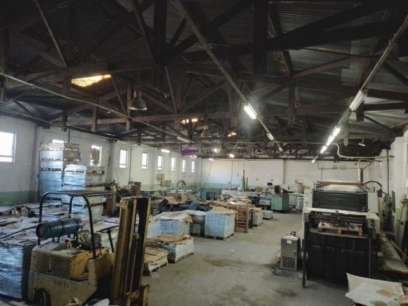 PP1651009.jpg