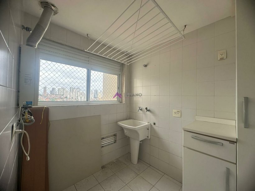 PP614017.jpg