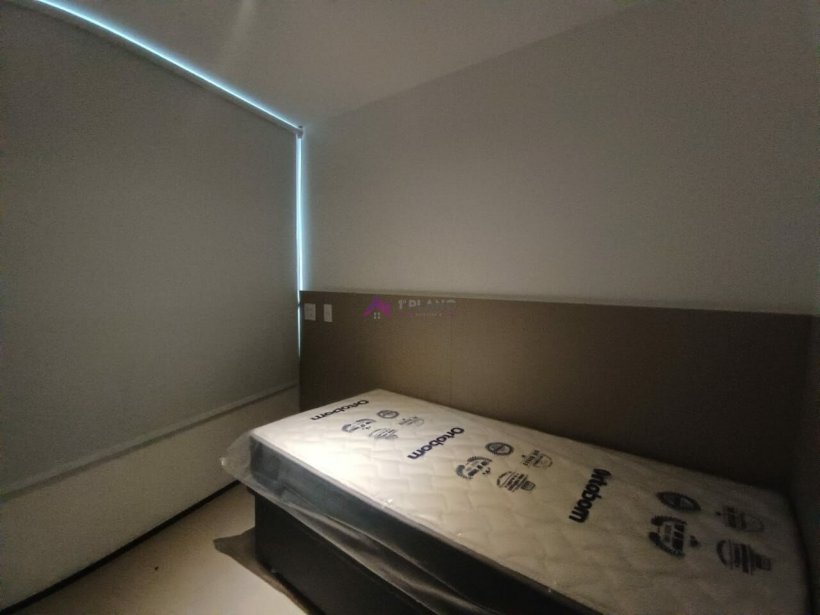 PP1548016.jpg