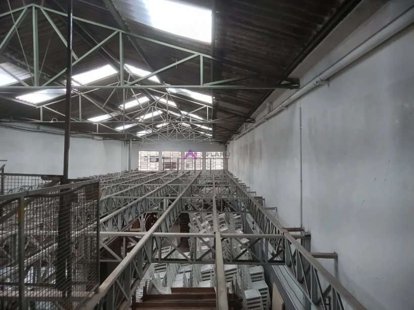 PP1686004.jpg