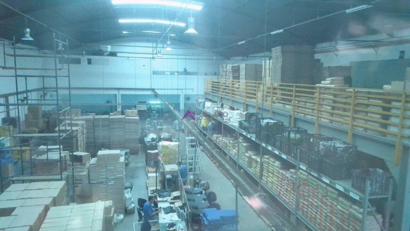 PP1698011.jpg