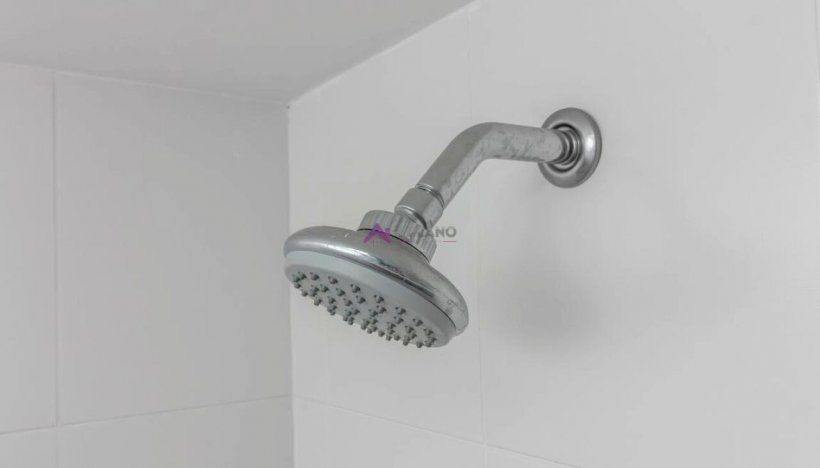 PP1720015.jpg