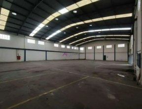 Galpão comercial para locação na Vila Paranaguá, 850 m² com pé-direito de 8 metros PP1711006.jpg