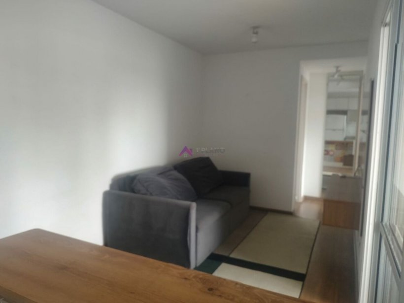 PP1481015.jpg