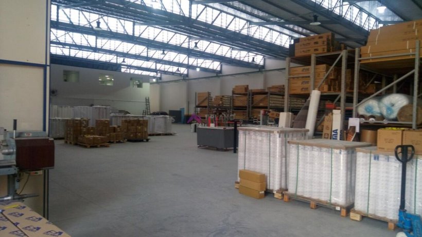 PP1673009.jpg