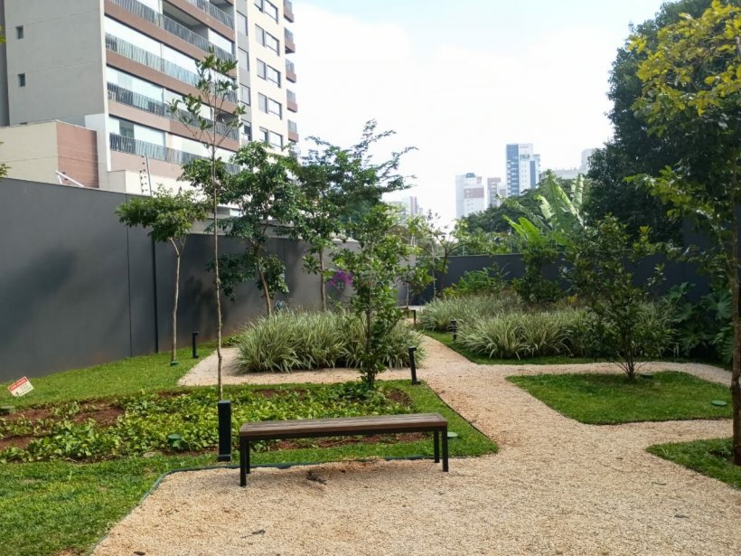 PP1548011.jpg