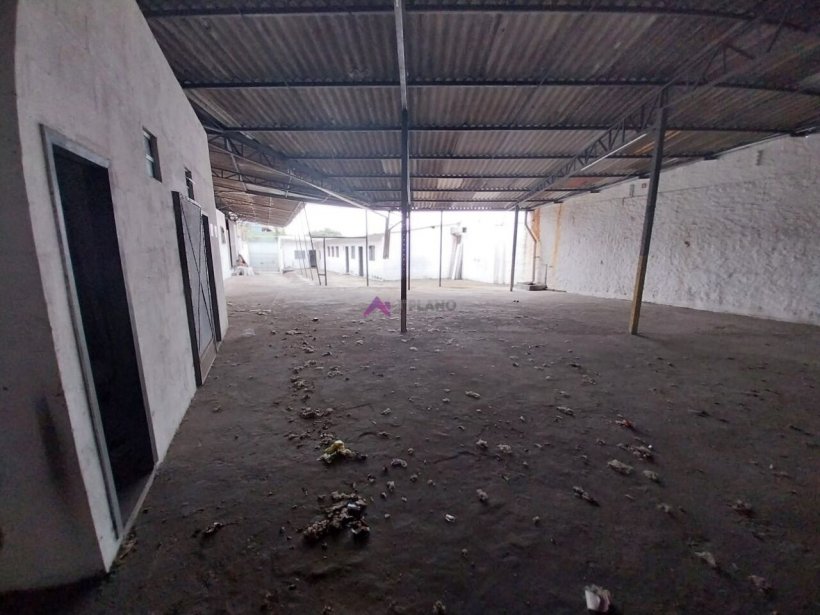 PP1701008.jpg