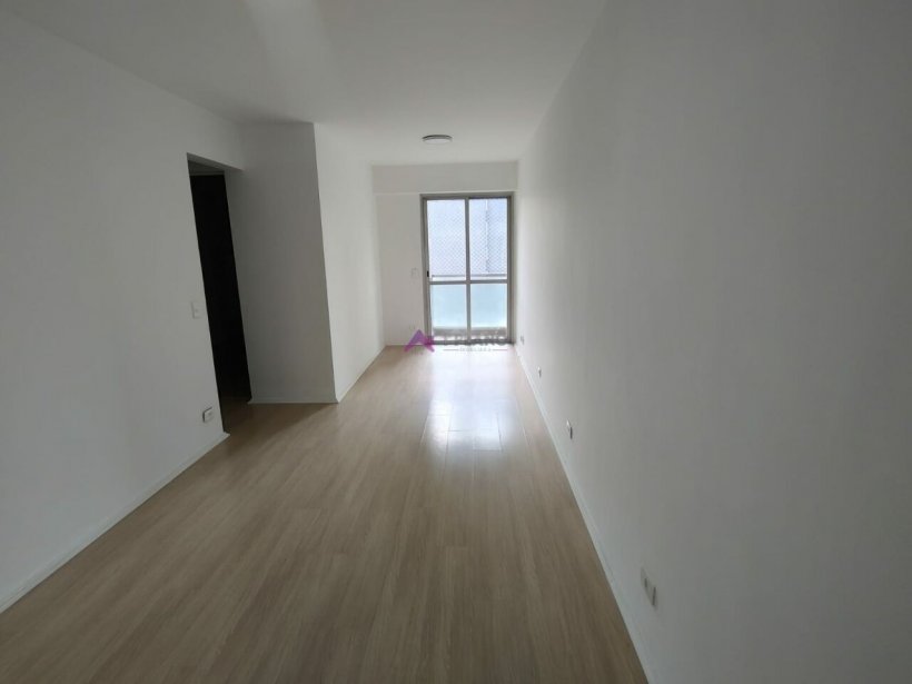 PP1551021.jpg