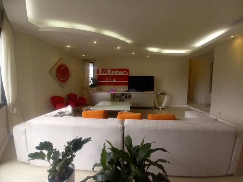PP728011.jpg