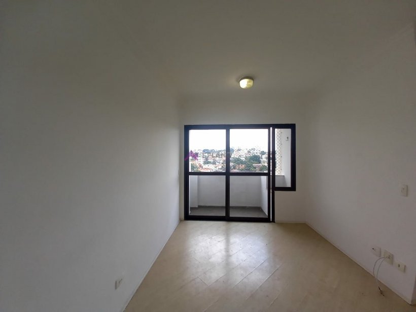PP189020.jpg