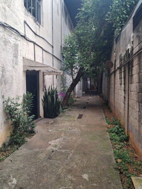 PP1825006.jpg