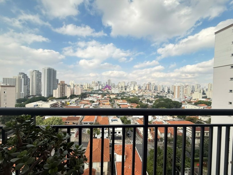 PP1559006.jpg