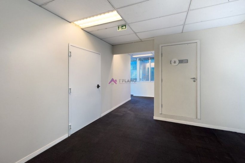 PP1814011.jpg