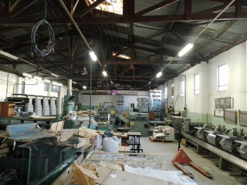 PP1651012.jpg