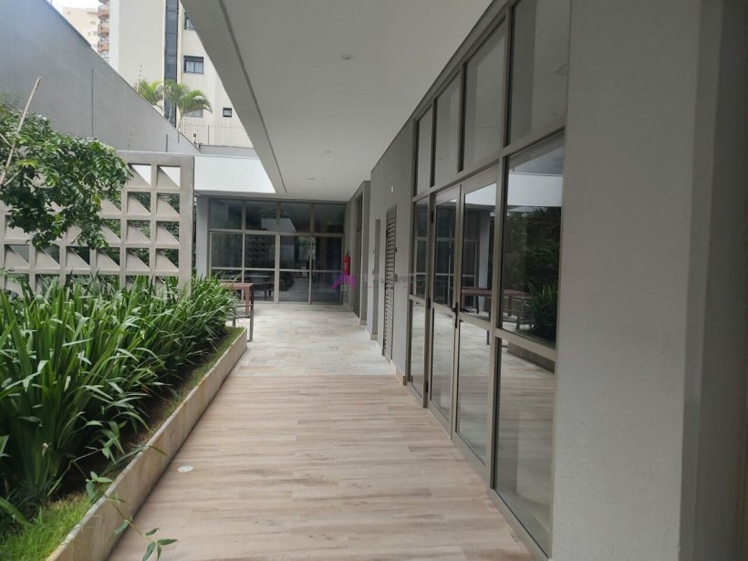 PP1539035.jpg