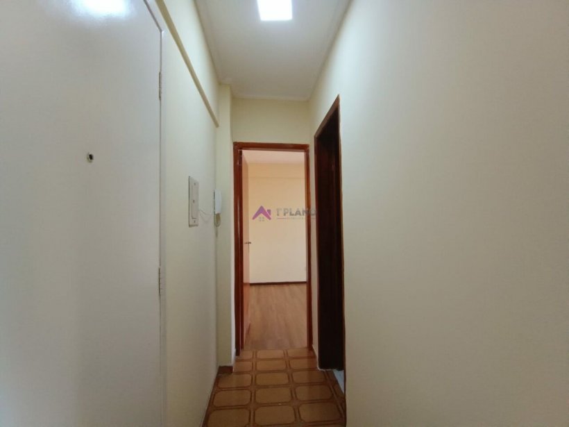 PP1130002.jpg