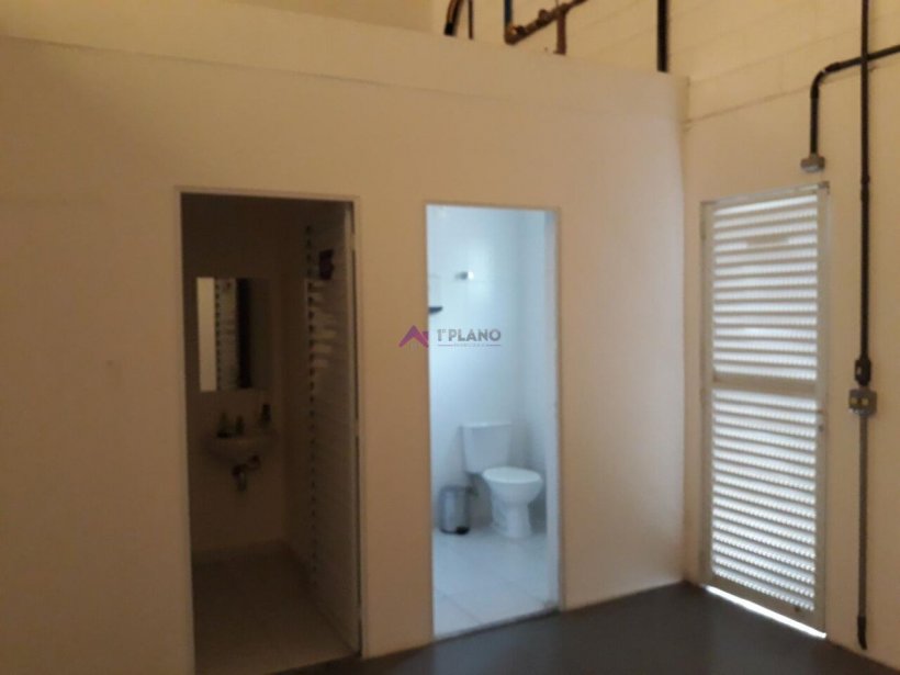 PP1670013.jpg