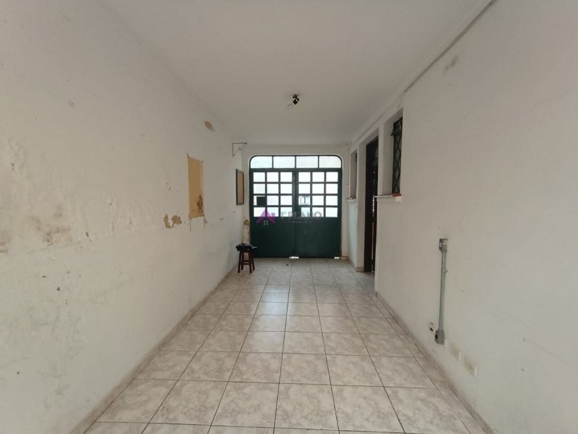 PP1748033.jpg