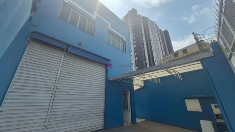 PP1725004.jpg