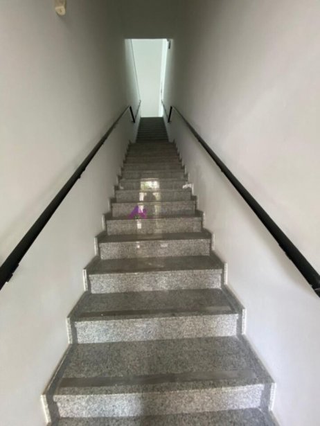PP1684001.jpg