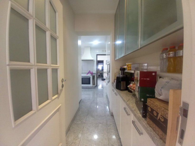 PP728018.jpg