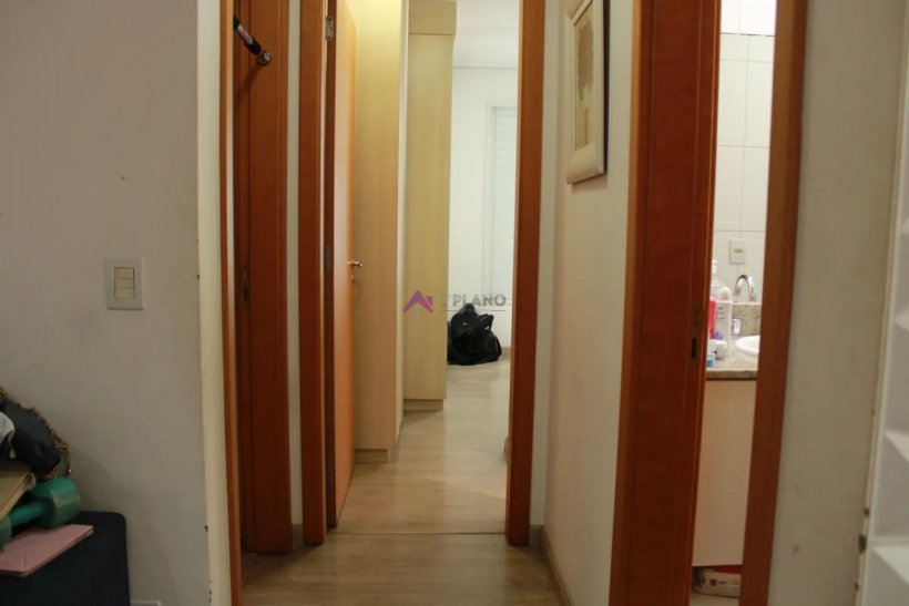 PP1708042.jpg