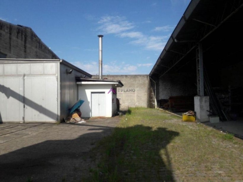 PP1655003.jpg