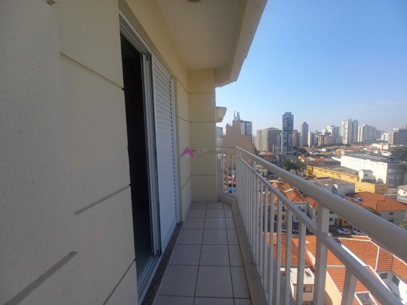 PP854008.jpg