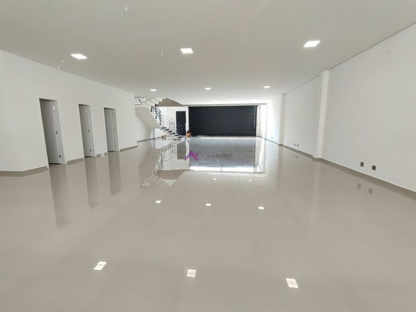 PP1259008.jpg