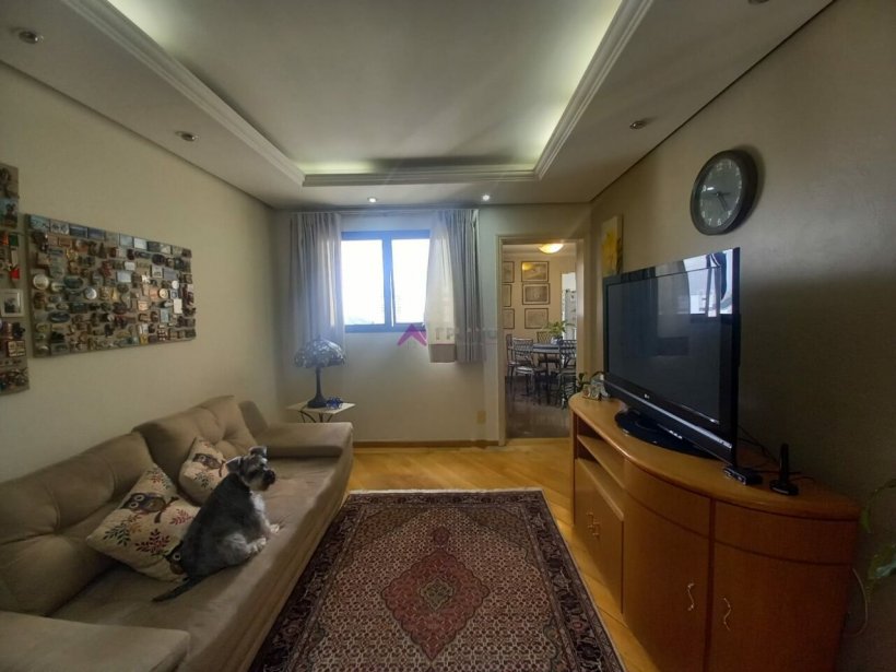 PP553008.jpg