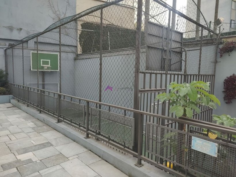 PP1551010.jpg