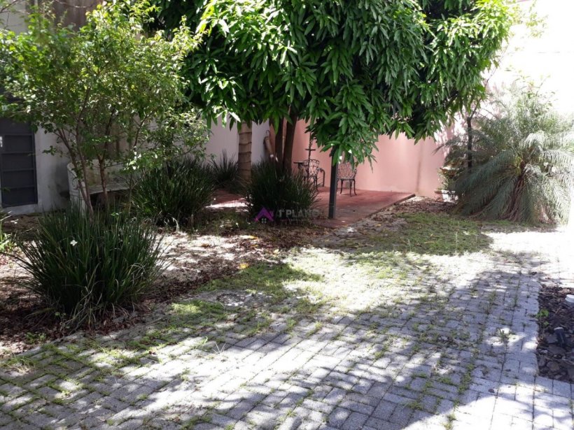 PP1670023.jpg