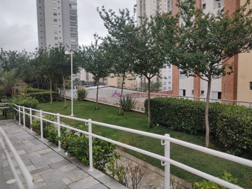 PP1481022.jpg